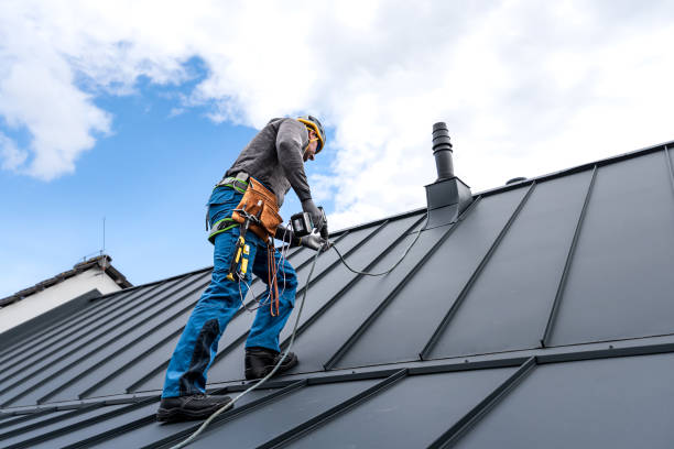 Best Sheet Metal Roofing  in Pinebluff, NC